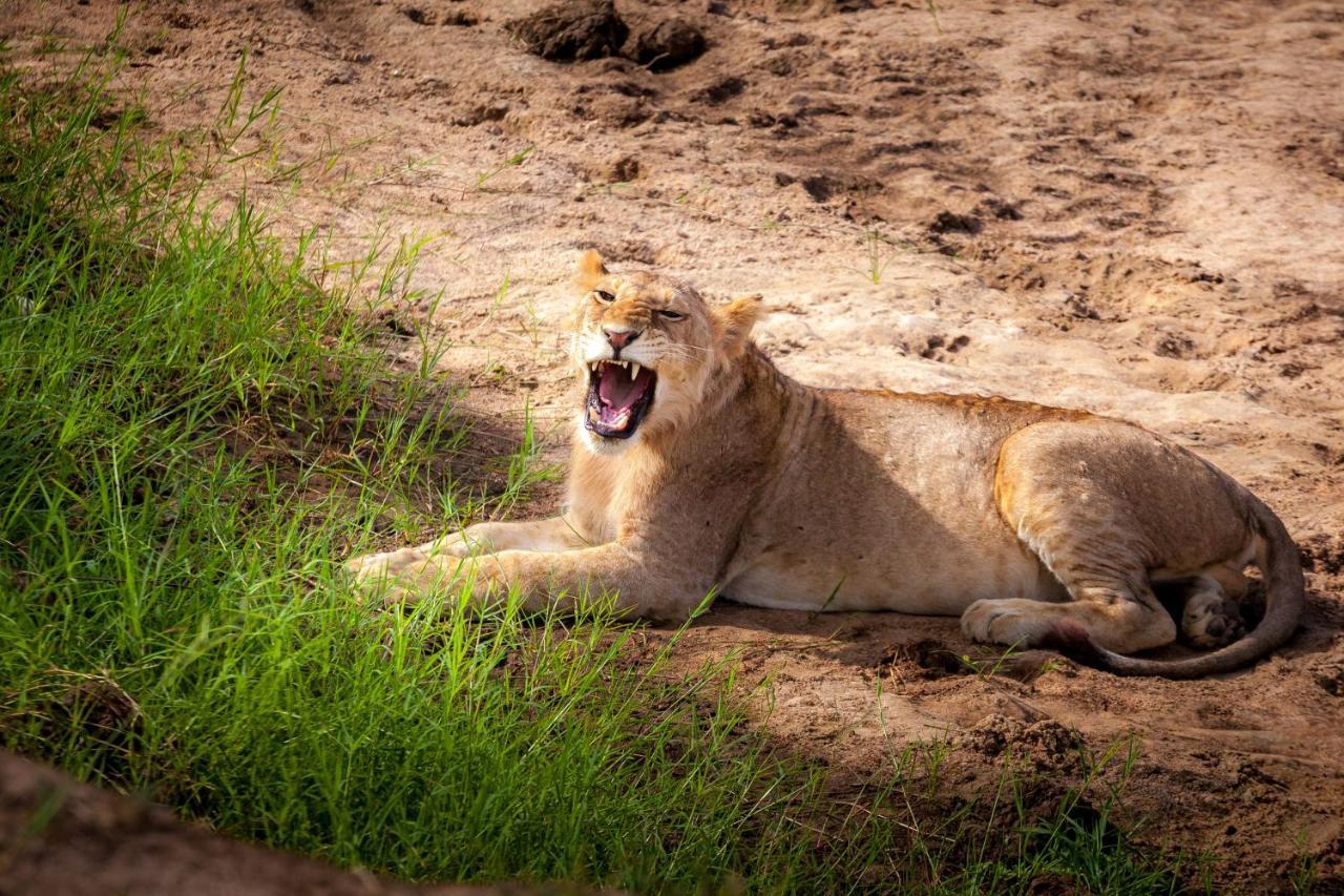 Baobab Tented Camp Kwa Kuchinia ภายนอก รูปภาพ