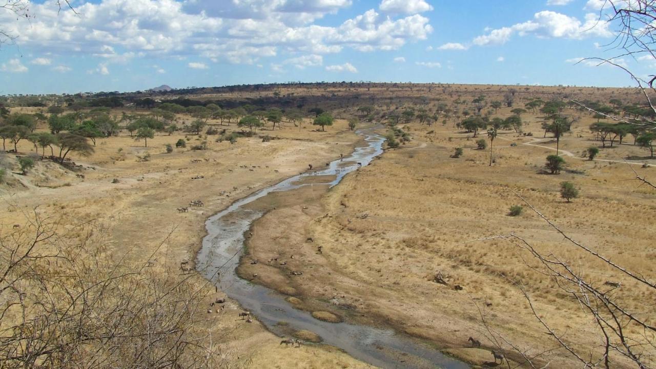 Baobab Tented Camp Kwa Kuchinia ภายนอก รูปภาพ